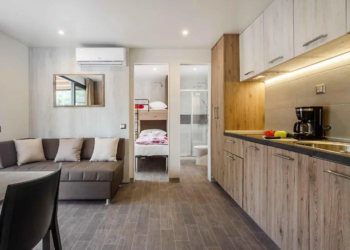 Feriepark Mobile Homes With Pool In Tar - Porec-istrien 38572